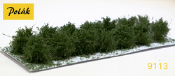 Low shrubs - fine leaves - Green birch 14pcs