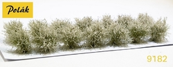 Low bushes - flowering - White 14pcs