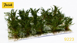 High bushes - medium leaves - Green birch 15pcs