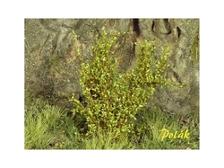 High bushes - medium leaves - Green aspen 15pcs