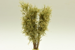 Vícekmenný strom  - do 10 cm - Podzimní mix 2