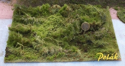 Lesní porost  - varianta B 27,5x20,5 cm