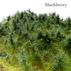 Wild bushes - Blackberries 27,5x20,5 cm