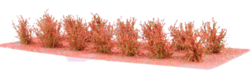 Low bushes - flowering - Red 14pcs