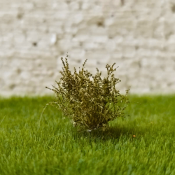 Low bushes - micro leaves - Dry oak 14pcs
