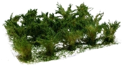 High bushes - leaves micro - green mix 15pcs