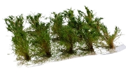 High bushes - fine leaves - Green aspen 15pcs