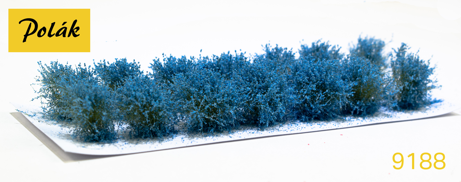 Nízké keře - kvetoucí - Modré 14ks