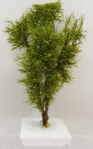 Vícekmenný strom  - do 13 cm - Podzimní mix 1