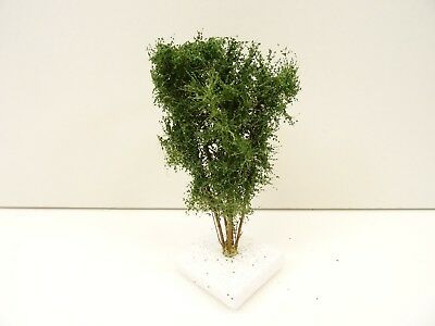 Vícekmenný strom  - do 10 cm - Zelená dubová